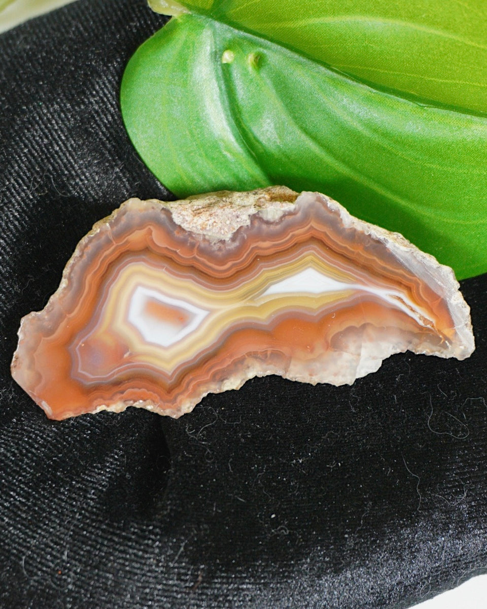 【コレクターズアイテム】ラグーナアゲート Collectors Laguna Agate | #5 – IRL Angel Collective